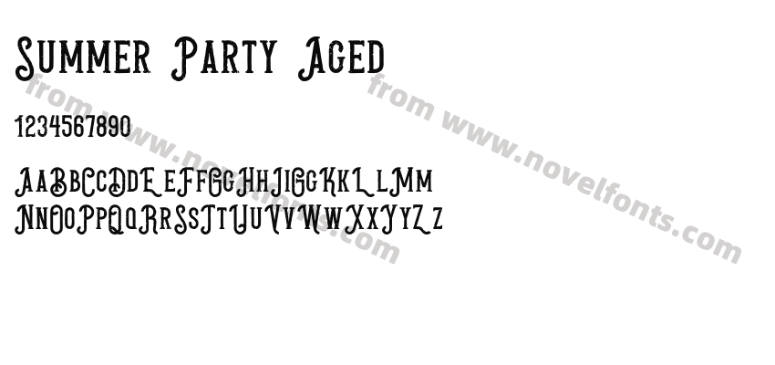 Summer Party AgedPreview