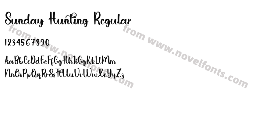 Sunday Hunting RegularPreview