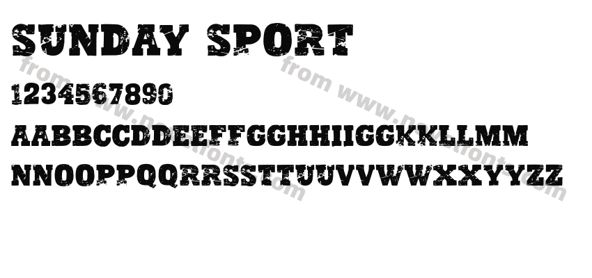 Sunday SportPreview