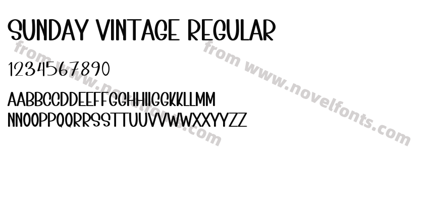 Sunday Vintage RegularPreview