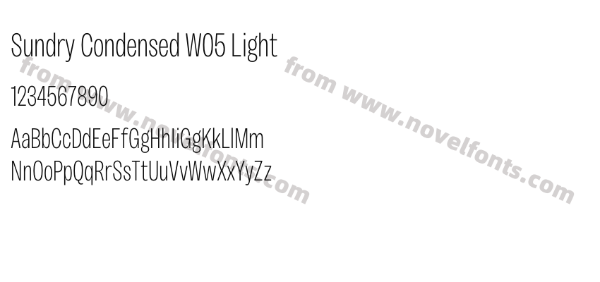 Sundry Condensed W05 LightPreview