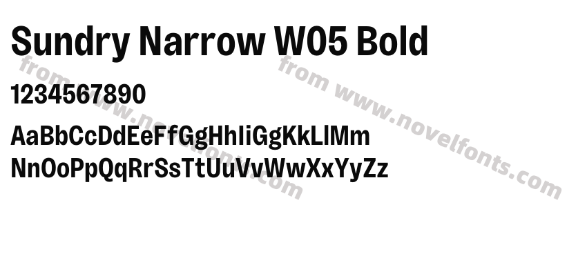 Sundry Narrow W05 BoldPreview
