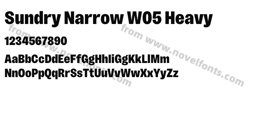 Sundry Narrow W05 HeavyPreview