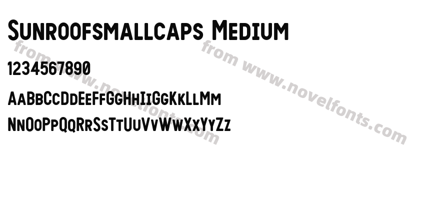 Sunroofsmallcaps MediumPreview