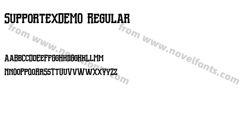 SupportexDEMO RegularPreview