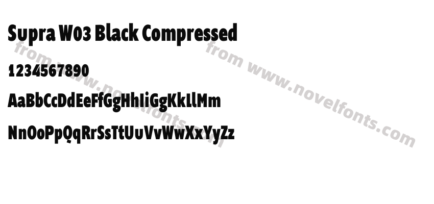 Supra W03 Black CompressedPreview