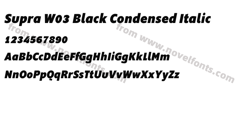 Supra W03 Black Condensed ItalicPreview
