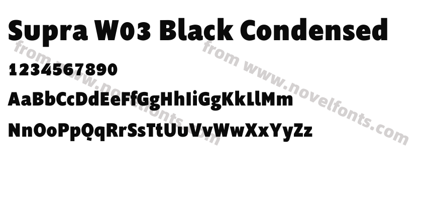 Supra W03 Black CondensedPreview