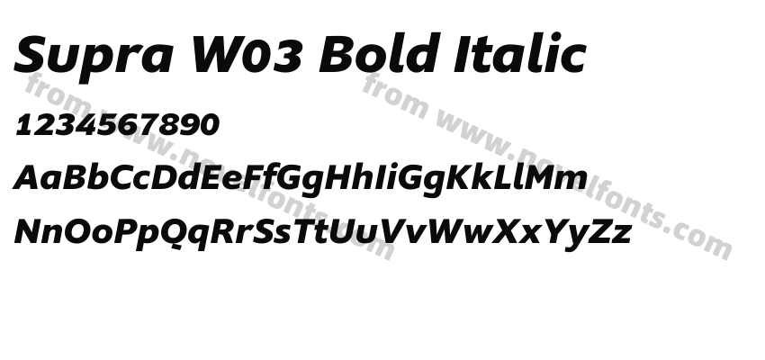 Supra W03 Bold ItalicPreview