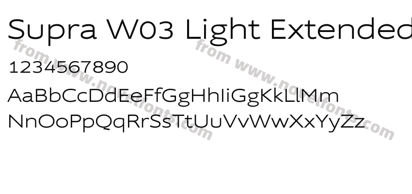 Supra W03 Light ExtendedPreview