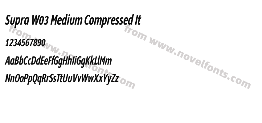 Supra W03 Medium Compressed ItPreview