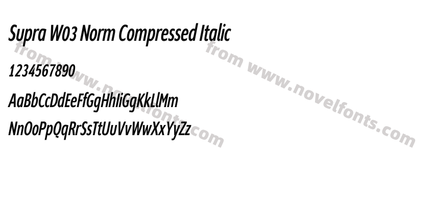 Supra W03 Norm Compressed ItalicPreview