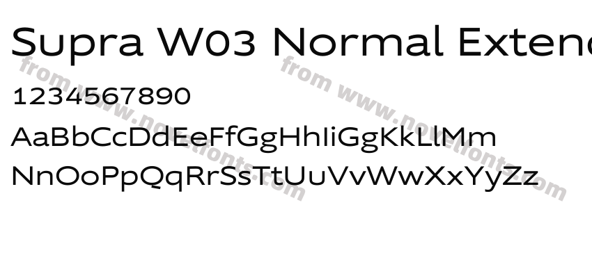 Supra W03 Normal ExtendedPreview