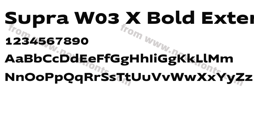 Supra W03 X Bold ExtendedPreview