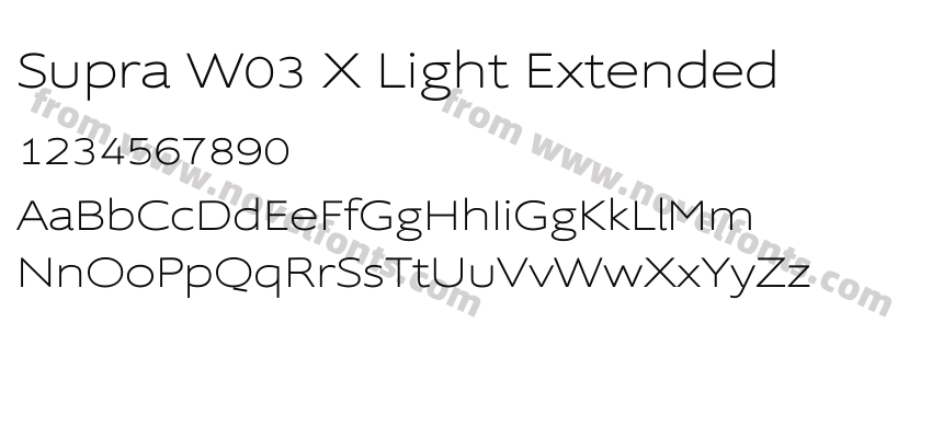 Supra W03 X Light ExtendedPreview