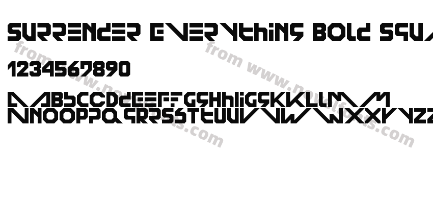 Surrender Everything Bold Square RegularPreview