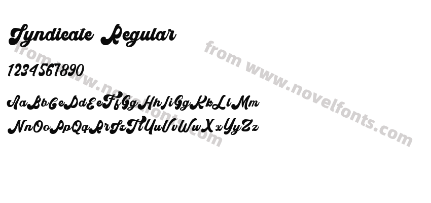 Syndicate RegularPreview