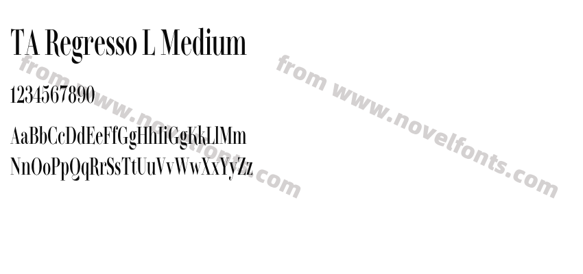 TA Regresso L MediumPreview
