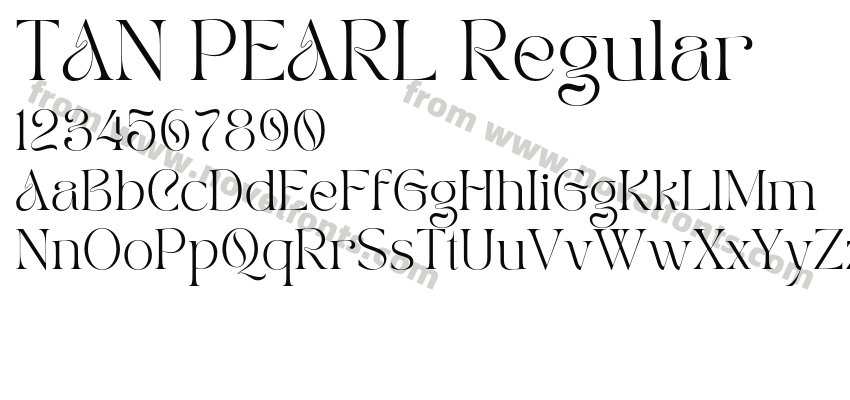 TAN PEARL RegularPreview