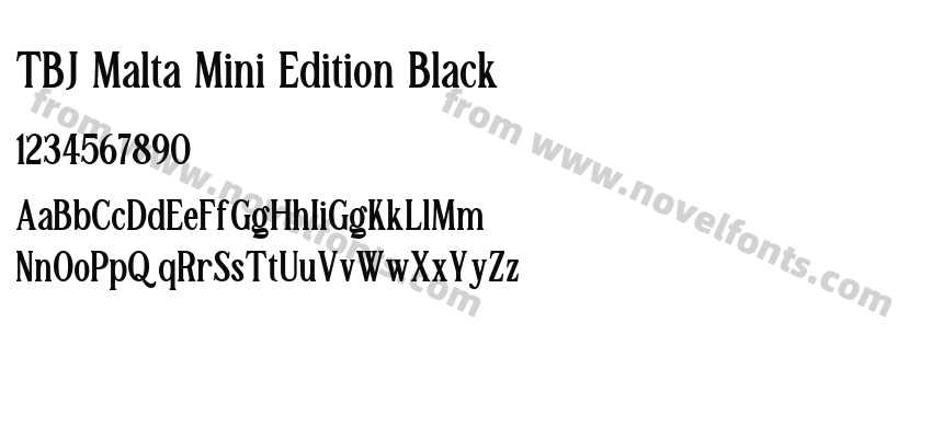 TBJ Malta Mini Edition BlackPreview