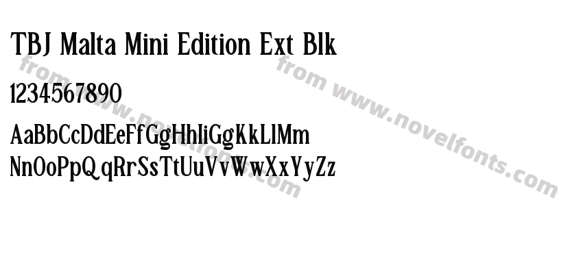 TBJ Malta Mini Edition Ext BlkPreview