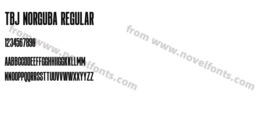 TBJ Norguba RegularPreview