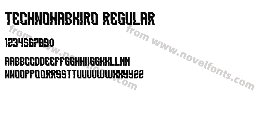 TECHNOHABKIRO RegularPreview