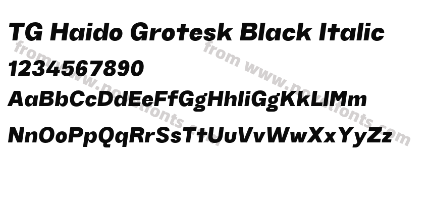 TG Haido Grotesk Black ItalicPreview