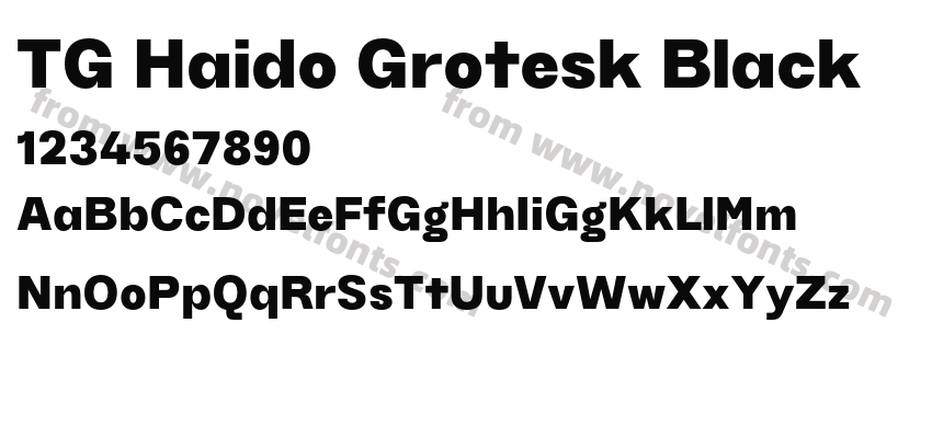 TG Haido Grotesk BlackPreview