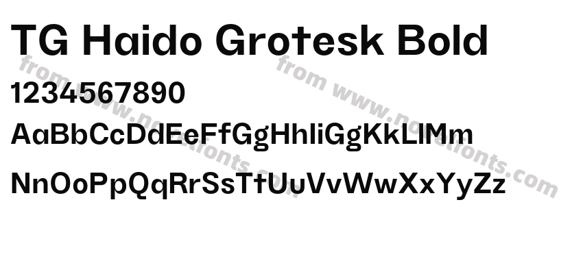 TG Haido Grotesk BoldPreview