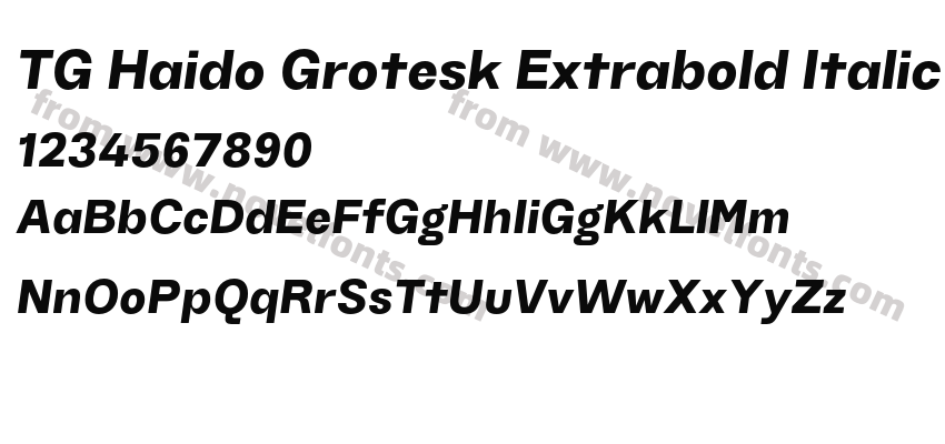 TG Haido Grotesk Extrabold ItalicPreview
