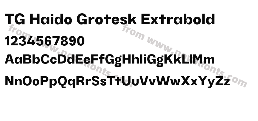 TG Haido Grotesk ExtraboldPreview