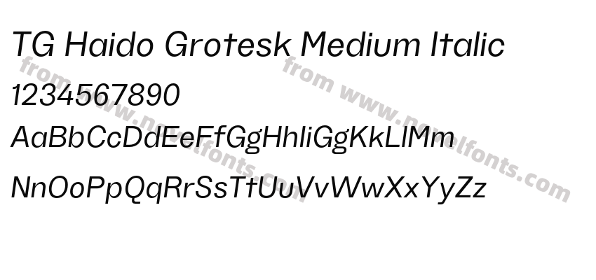 TG Haido Grotesk Medium ItalicPreview