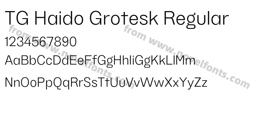 TG Haido Grotesk RegularPreview