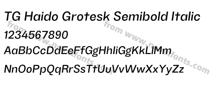 TG Haido Grotesk Semibold ItalicPreview