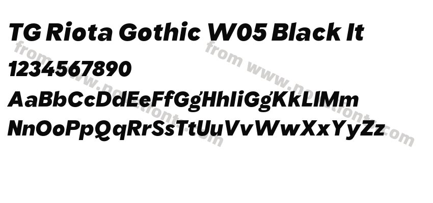 TG Riota Gothic W05 Black ItPreview