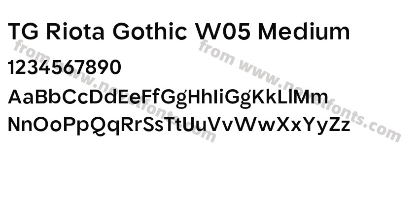 TG Riota Gothic W05 MediumPreview