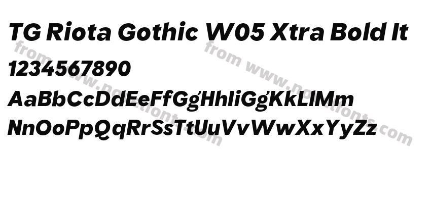 TG Riota Gothic W05 Xtra Bold ItPreview