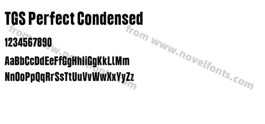 TGS Perfect CondensedPreview