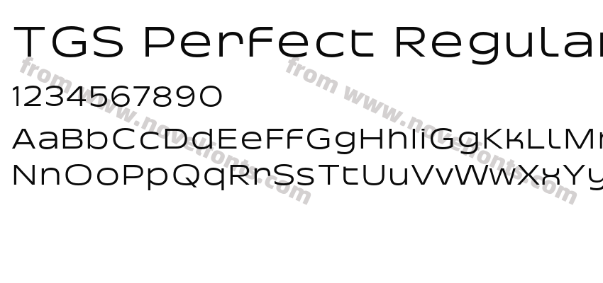 TGS Perfect RegularPreview