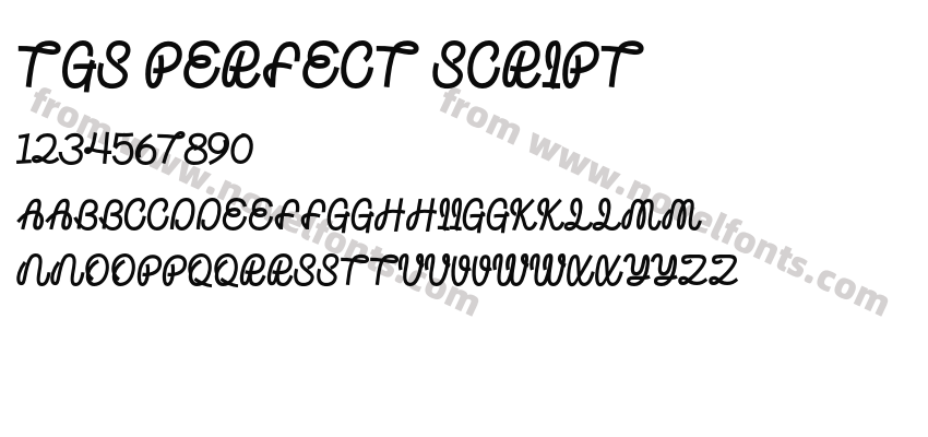TGS Perfect ScriptPreview