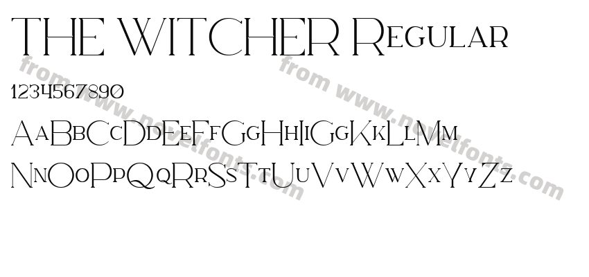THE WITCHER RegularPreview