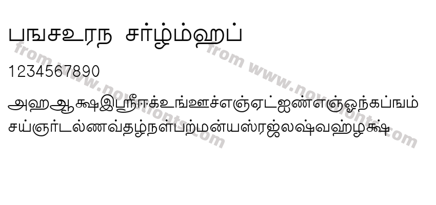 TMNEWS NormalPreview