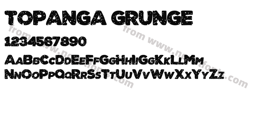 TOPANGA GRUNGEPreview