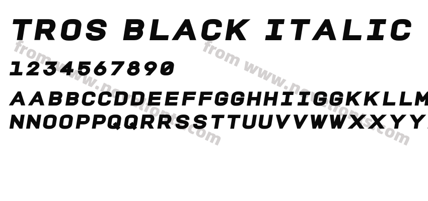 TROS Black ItalicPreview
