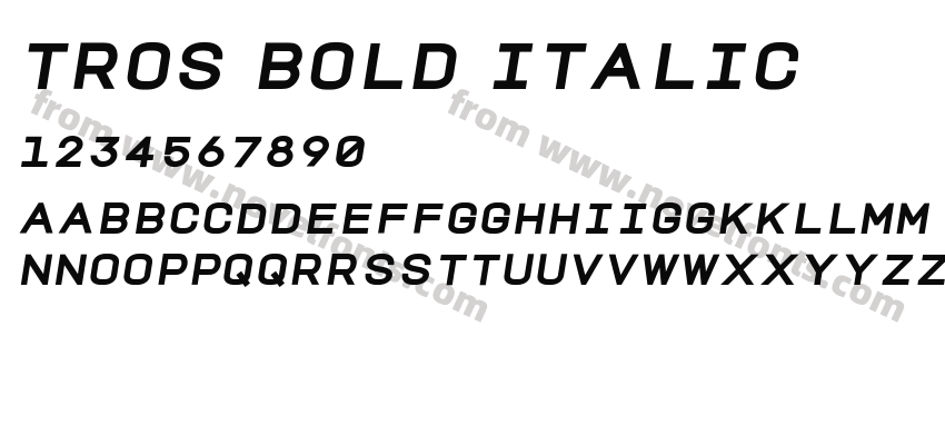 TROS Bold ItalicPreview
