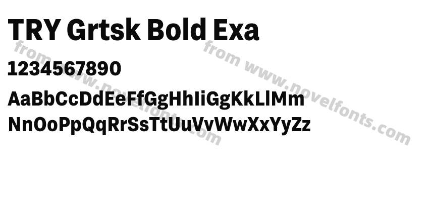 TRY Grtsk Bold ExaPreview