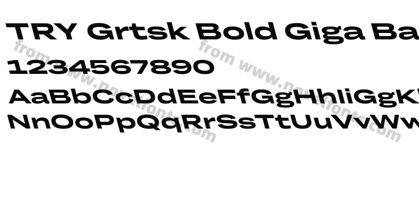 TRY Grtsk Bold Giga BackslantPreview