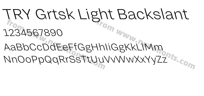 TRY Grtsk Light BackslantPreview