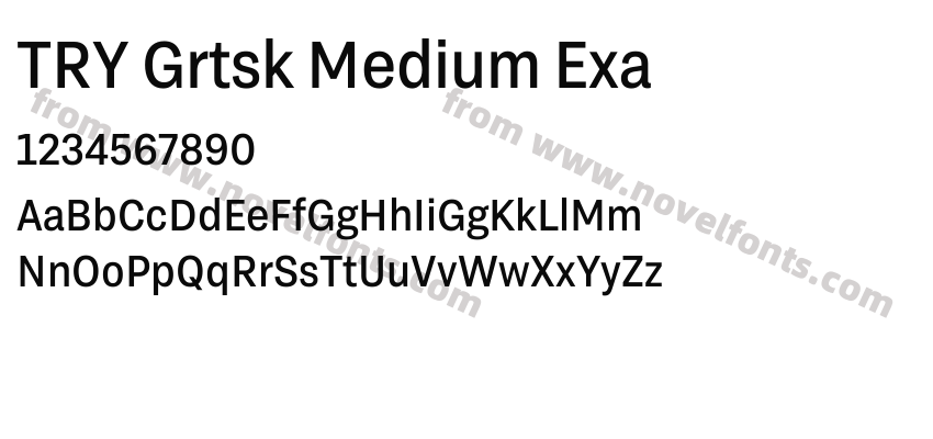 TRY Grtsk Medium ExaPreview